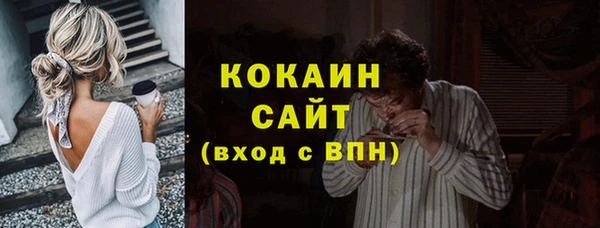 индика Покров