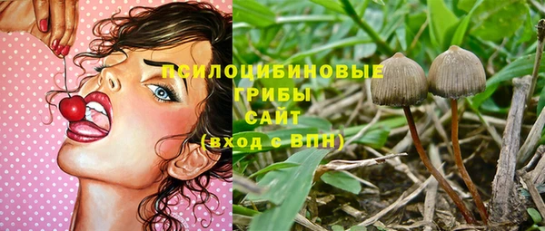 индика Покров