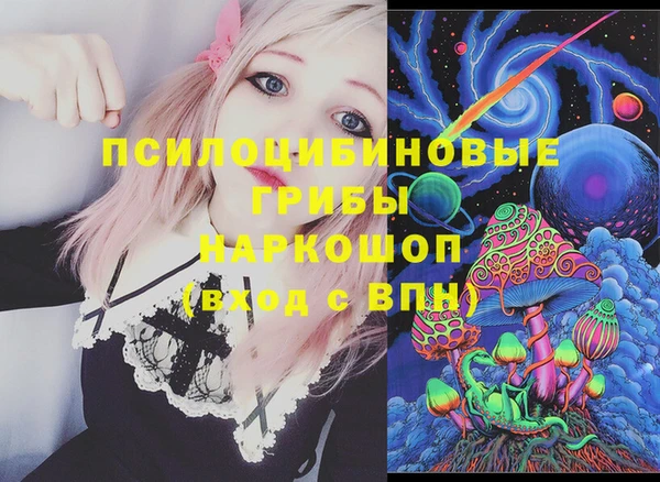 индика Покров