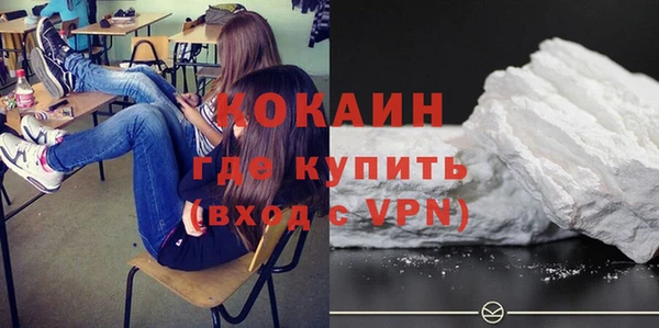 индика Покров