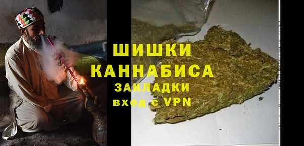 прущие грибы Пересвет